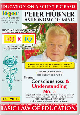 Peter Hübner - Consciousness and Understanding No. 5
